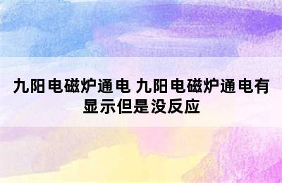 九阳电磁炉通电 九阳电磁炉通电有显示但是没反应